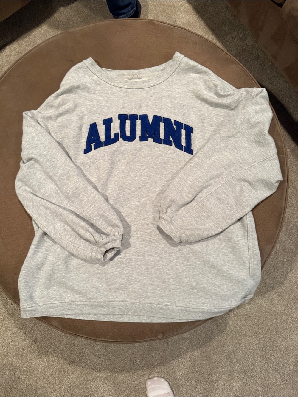 aerie Light Gray Crewneck Sweatshirt with Navy 'ALUMNI' Lettering